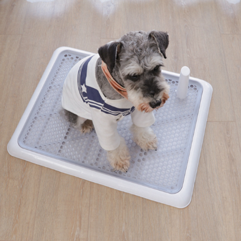 Automatic Pet Toilet - Pet Park
