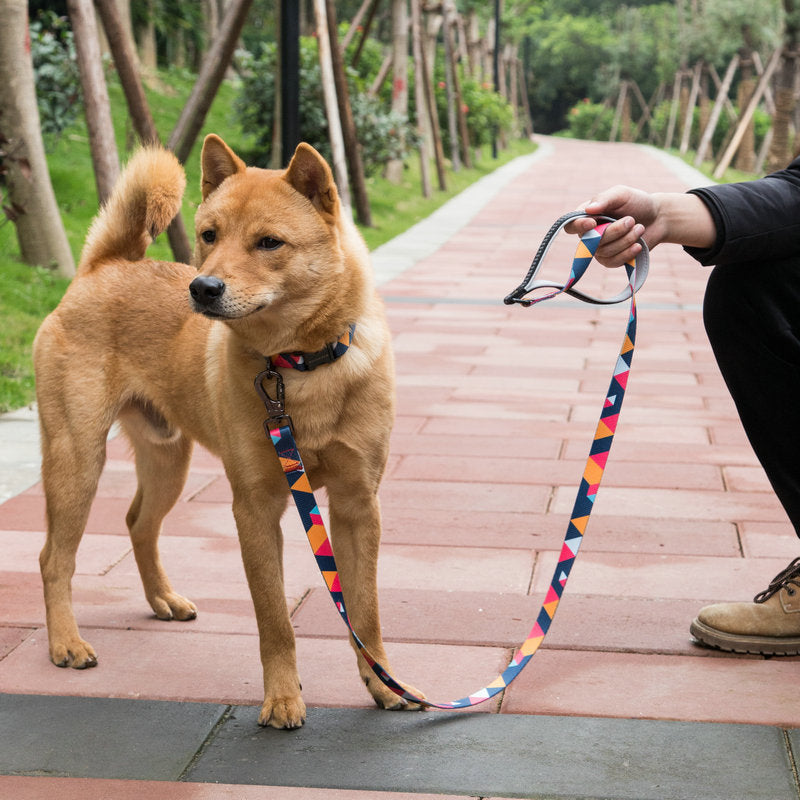 Pet Supplies Dog Leash - Pet Park