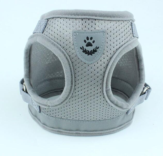 Dog Harness And Leash Set - Pet Park