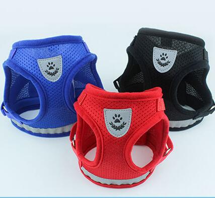 Dog Harness And Leash Set - Pet Park
