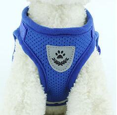 Dog Harness And Leash Set - Pet Park