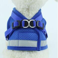 Dog Harness And Leash Set - Pet Park
