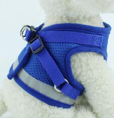 Dog Harness And Leash Set - Pet Park