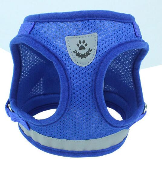 Dog Harness And Leash Set - Pet Park