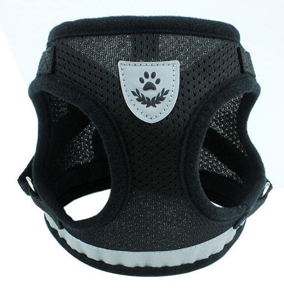 Dog Harness And Leash Set - Pet Park