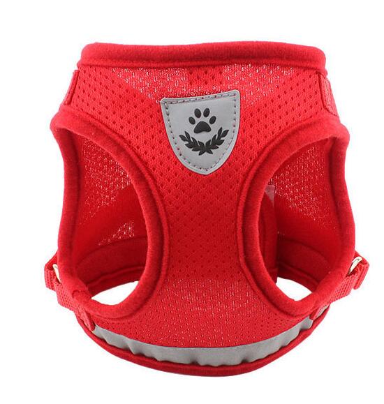 Dog Harness And Leash Set - Pet Park