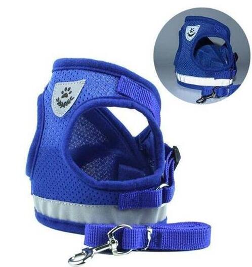 Dog Harness And Leash Set - Pet Park