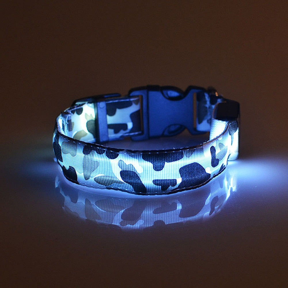 Camouflage Pet Luminous Dog Collar - Pet Park