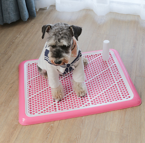 Automatic Pet Toilet - Pet Park