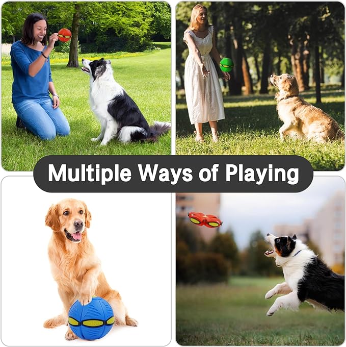 Pet Flying Saucer Ball Interactive Toys - Pet Park