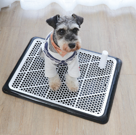 Automatic Pet Toilet - Pet Park