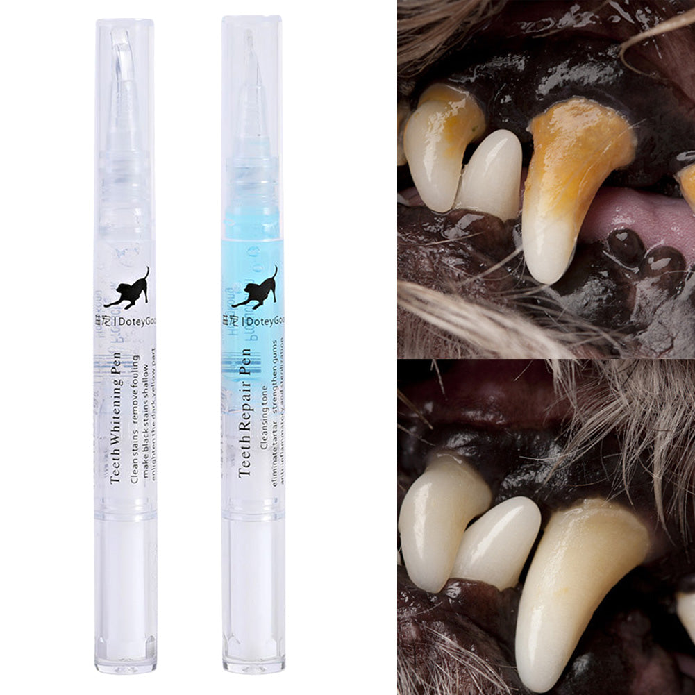 Pet Teeth Repairing Kit - Pet Park