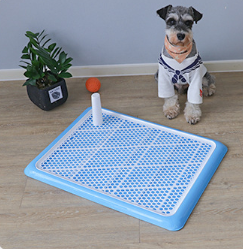 Automatic Pet Toilet - Pet Park