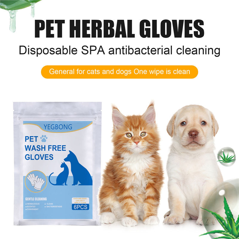 Cat-free Non-woven Gloves - Pet Park