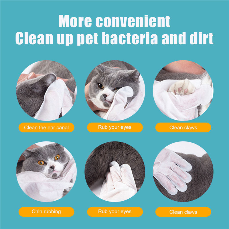 Cat-free Non-woven Gloves - Pet Park