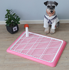 Automatic Pet Toilet - Pet Park