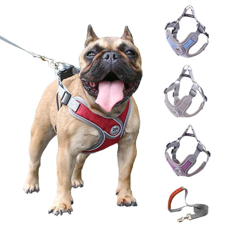 Pet Strap Collar Traction Rope - Pet Park