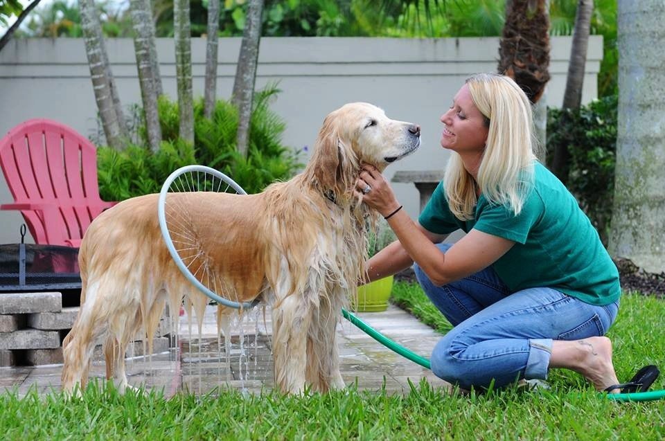 Fully Automatic 360 Degree Pet Bath Ring - Pet Park