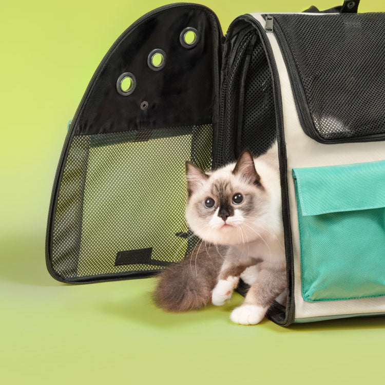 Takeaway Cat Out Bag - Pet Park