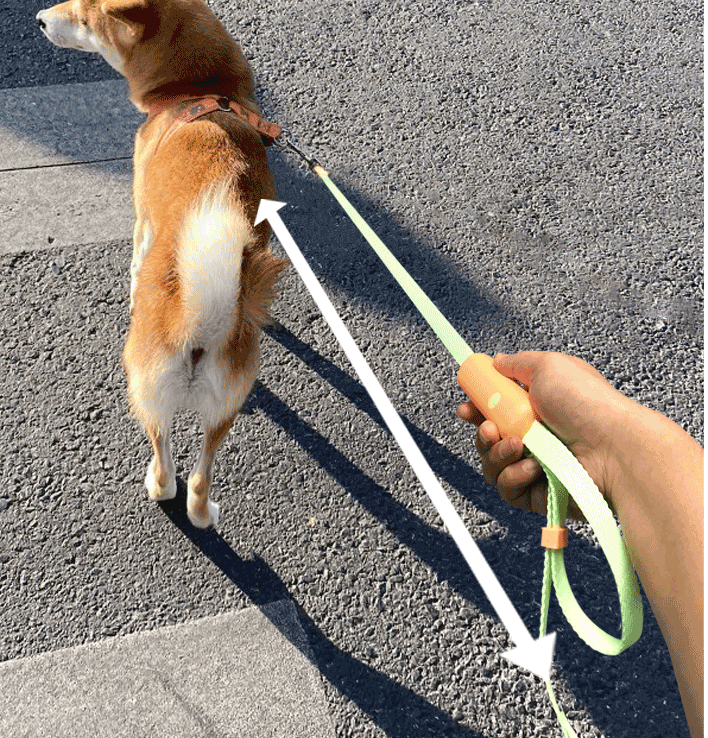 Pet Retractable Adjustable Leash - Pet Park