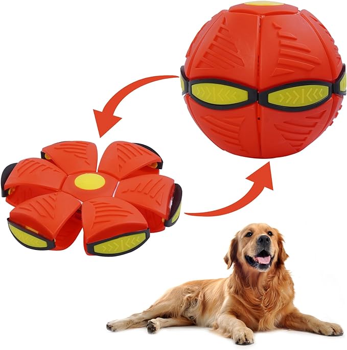 Pet Flying Saucer Ball Interactive Toys - Pet Park