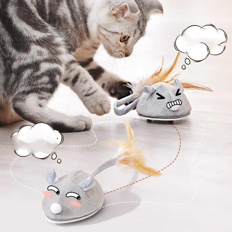 Pet Cat Crawling Mouse Toys - Pet Park