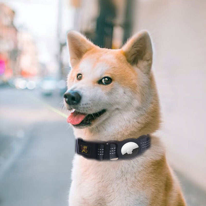 Pet Mobile Phone Tracker Protector Collar - Pet Park